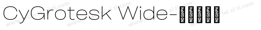 CyGrotesk Wide字体转换